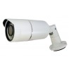 Integrated Outdoor Camera AHD TVI CVI CVBS CVBS 1080p CMOS IR LEDs 50m, Adjustable lens 2.8-12mm ACTii AC3168