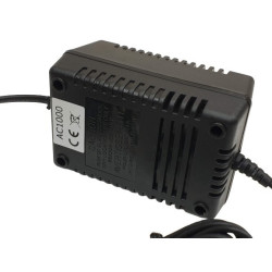 AC-AC 24V Power Supply 1A 1000mA 5.5 x 2.1 mm Transformer Charger ACTii AC1000