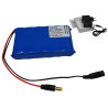 Batería de respaldo 12V 5500mAh Li-Ion UPS para cámaras CCTV AHD IP DVI TVI en caso de corte de energía + Cargador ACTii AC9426