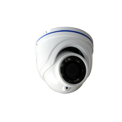 Mini-Dome-Kamera für den Außenbereich, Vandalensicher, Auto, LKW, Bus, 1080p, IR, Sony, AHD, CVI, TVI, Mikrofon ACTii AC5443