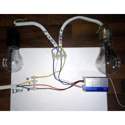 Schalter Schalter Licht Schalter 2 Kanäle Drahtlos 230V + 2x Fernbedienung, Zweikanaliges Funkrelais ACTii AC1073