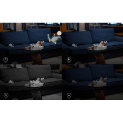 Imou Ranger Dual innendørs WiFi-kamera med 2x5Mpx AI-deteksjon og LED-lys IMOU IPC-S2XP-10M0WED