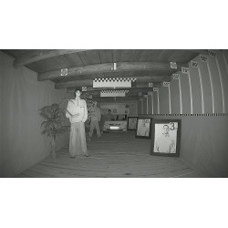 Гібрыдная камера 4у1 купальная Full HD Smart Dual Illumination IR LED 40м Мікрафон IP67 Вонкавая DAHUA HAC-HDW1200T-IL-A-0280B-S