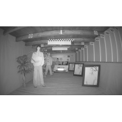 4-in-1 Dome Kamera 1080p Full HD Motozoom Objektiv 2.7-12mm IR-Strahler 60m Mikrofon IP67 WDR OSD CCTV DAHUA HAC-HDW1231T-Z-A-27