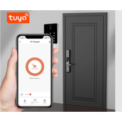 Εξωτερική Κλειδαριά Συνδυασμού IP68 Θυροτηλεόραση WiFi Αναγνώστης Δακτυλικών Αποτυπωμάτων RFID 125kHz Ελεγχος Πρόσβασης Εφαρμογή