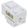 Modulaire Keystone RJ45 UTP cat. 5e Wit Snelkoppeling Krone Gereedschapsloos LAN Netwerkconnector 100 stuks Delta Network FX-RJ4