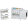 Modulaire Keystone RJ45 UTP cat. 5e Wit Snelkoppeling Krone Gereedschapsloos LAN Netwerkconnector 100 stuks Delta Network FX-RJ4
