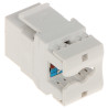 RJ45 키스톤 모듈러 잭 UTP Cat.6 화이트 Krone LSA 퀵 커넥터 100개 세트 LAN 네트워크 Delta Network FX-RJ45-65*P100