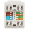 RJ45 Keystone moduluttag UTP Kat.6 Vit snabbanslutning Krone LSA 100-pack LAN Delta Network FX-RJ45-65*P100