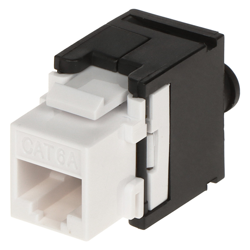 Keystone priključek RJ45 UTP kat. 6A brezrodno vtičnico komplet 100 kosov omrežni LAN Ethernet Delta Network FX-RJ45-6A-02*P100