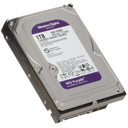 Professional HDD Hard Drive for Surveillance Recorders 1TB SATA III 64MB Cache 24/7 AllFrame 4K WESTERN DIGITAL HDD-WD11PURZ
