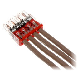 4-laidų elektros jungtis 0.5-2.5mm2 laidams 100 vienetų rinkinys raudona PUSH WIRE Wago WAGO-2273-204*P100