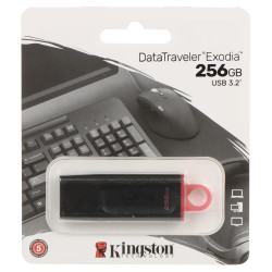 256GB USB 3.2 Gen 1 闪存盘高速便携式数据存储器 KINGSTON FD-256/DTX-KING