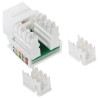 Conector Keystone RJ45 UTP cat. 5e sem ferramentas branco conjunto 100 unidades conexão rápida Krone PET Delta FX-RJ45-53*P100