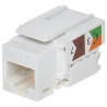 RJ45 UTP 6类免工具Keystone模块 白色 100件套 LAN模块 配线架网络插座 Delta FX-RJ45-62*P100