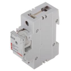 63A D02 单相熔断器隔离开关 TH-35 DIN导轨安装模块化电气配件 LEGRAND LE-606619