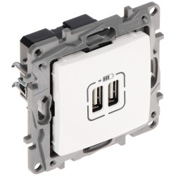 Niloe 白色双口 USB 充电插座 2.4A 5V 适用于暗装盒 智能手机平板电脑快速充电 LEGRAND LE-764594