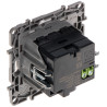 Niloe 白色嵌入式双 USB 充电插座 2.4A 5V 用于智能手机和平板电脑快速充电 LEGRAND LE-764594