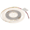 LED灯带 120灯/米 12V 9.6W/米 暖白光 3000K 5米 IP20 柔性照明灯条 MW Lighting LED120-12V/9.6W-WW/5M