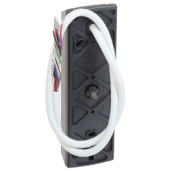 Externer RFID Unique 125kHz RS-485 RACS Zutrittskontrollcontroller autonomisches System IP65 Türsicherung ROGER PR312EM-BK-G