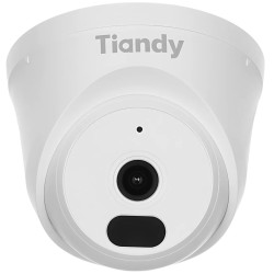 IP kamera 1080p 2.8mm IR 30m mikrofonas PoE Analog Killer Full HD skaitmeninė kupolinė TIANDY TC-C320N 1CNB-28