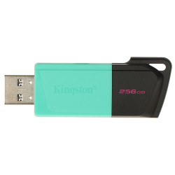 256GB USB 3.2 Gen 1 Flash Drive Portable Storage USB-A Fast Data Transfer USB Stick KINGSTON FD-256/DTXM-KING